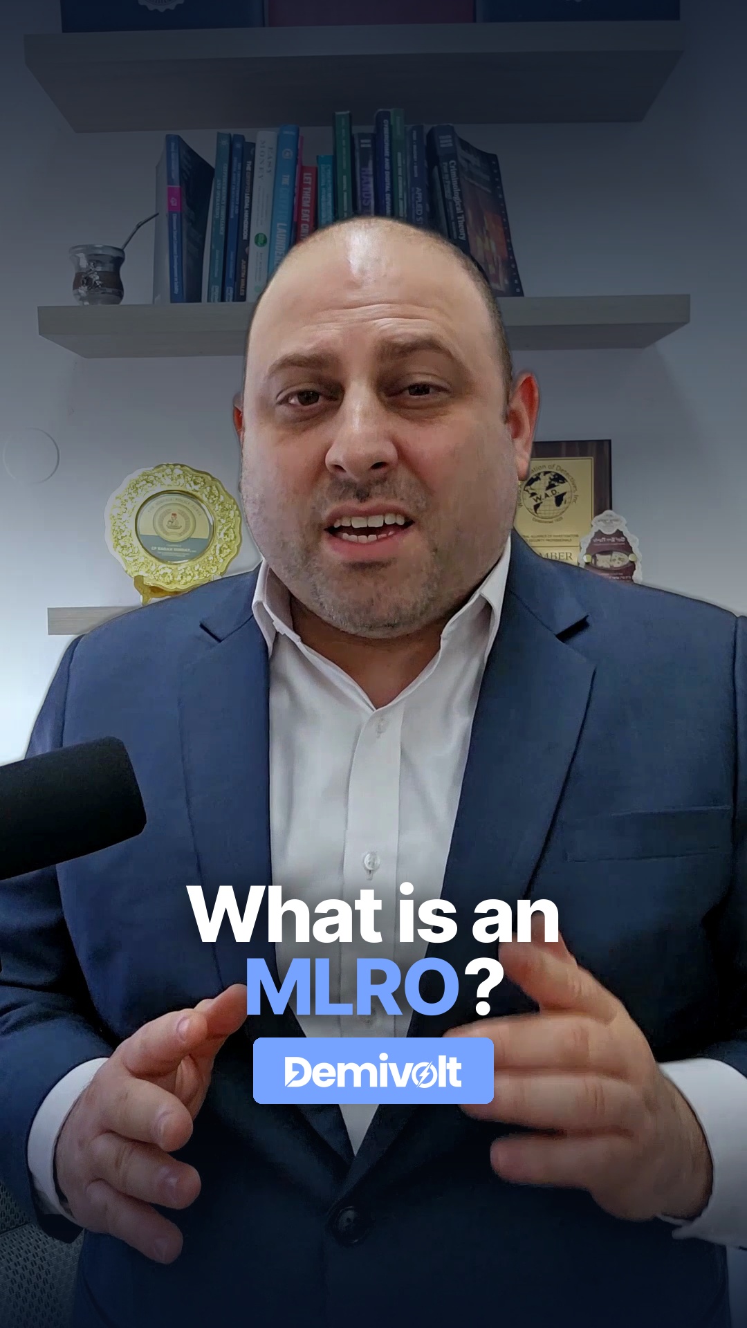 What Is an MLRO? The Role Explained